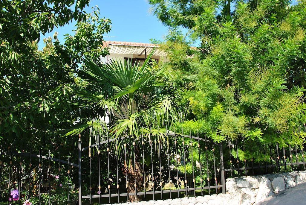 Apartment Zvonar Donji Okrug  Exterior foto